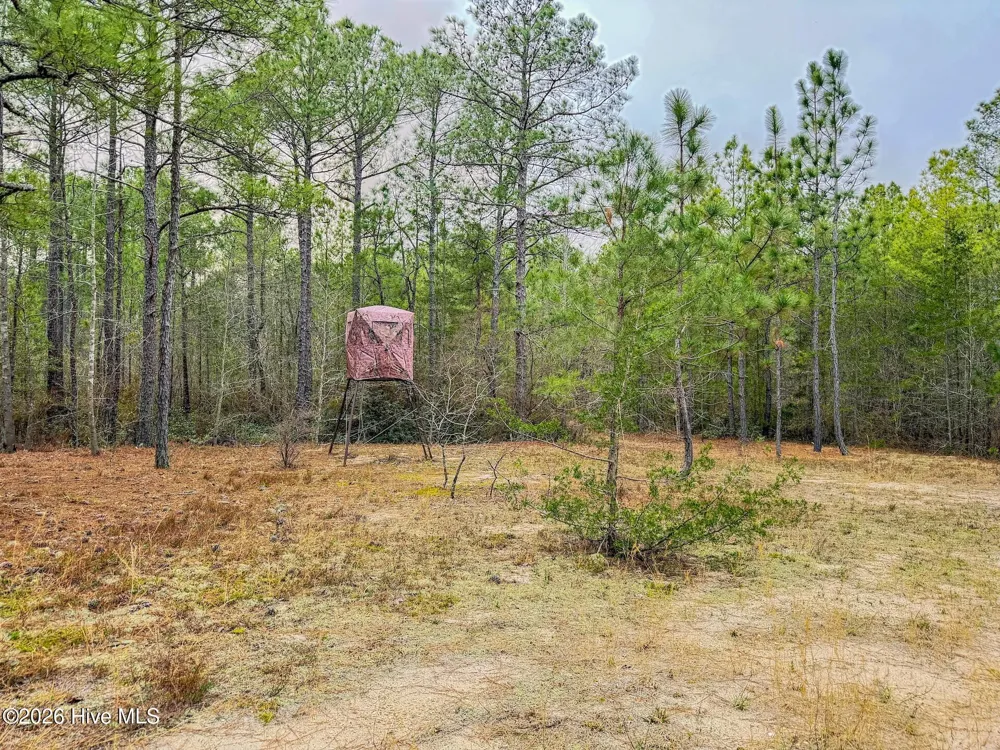 0 Lobelia Road Vass, NC 28394
