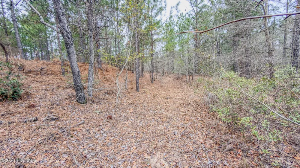 0 Lobelia Road Vass, NC 28394