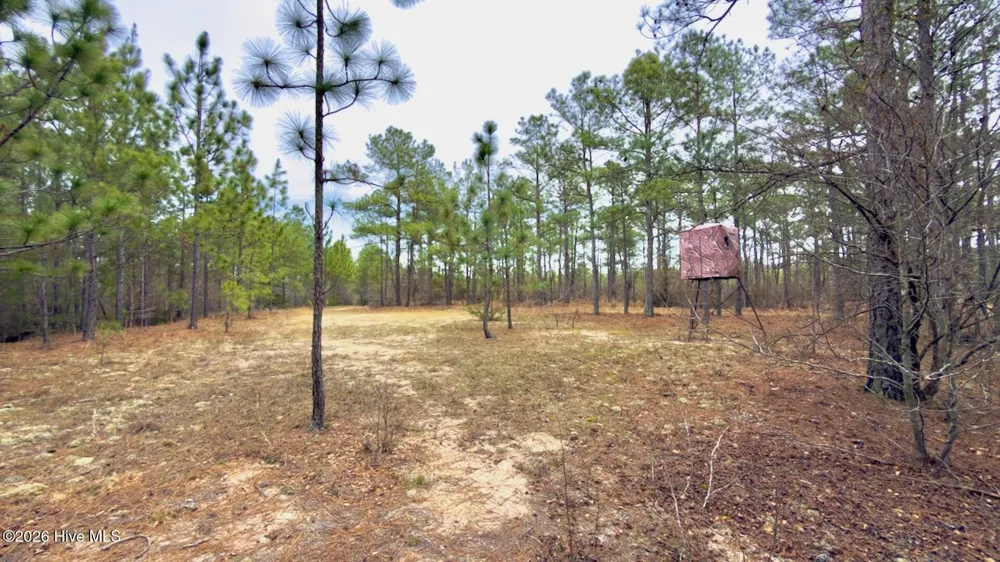 0 Lobelia Road Vass, NC 28394