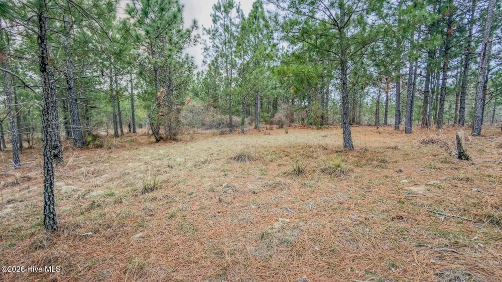 0 Lobelia Road Vass, NC 28394