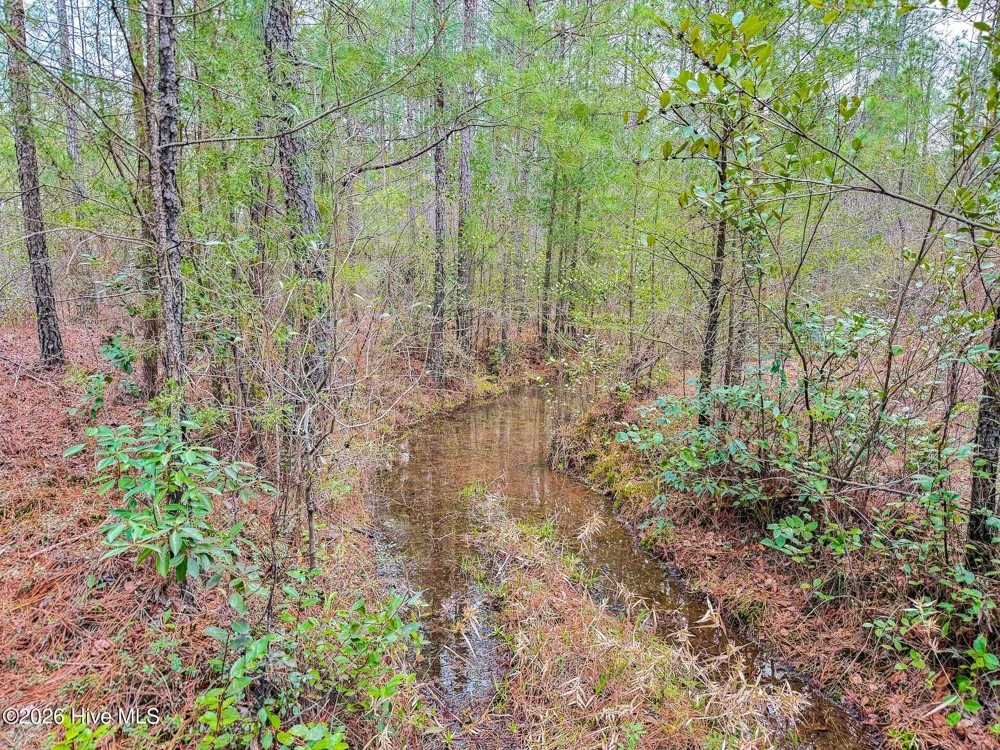 0 Lobelia Road Vass, NC 28394