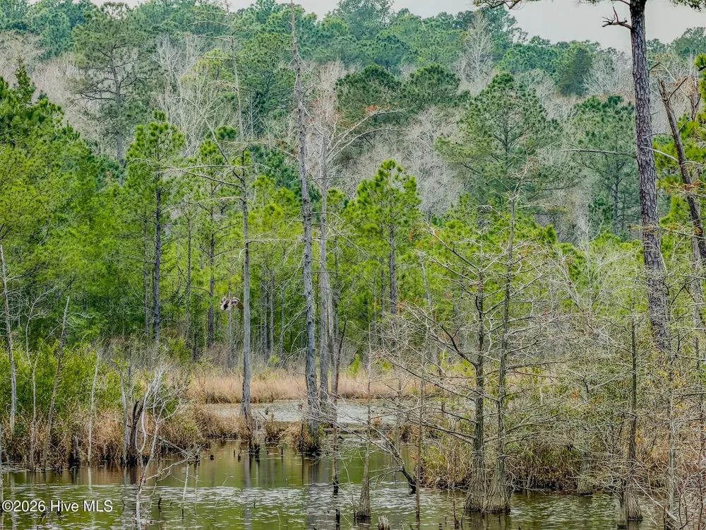 0 Lobelia Road Vass, NC 28394