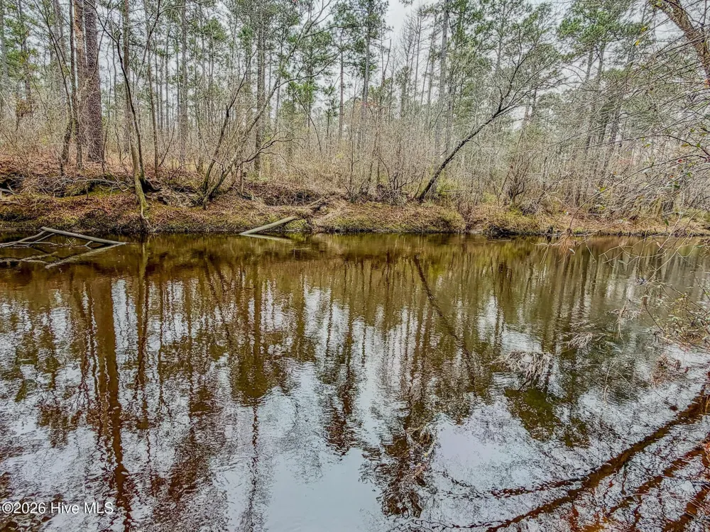 0 Lobelia Road Vass, NC 28394