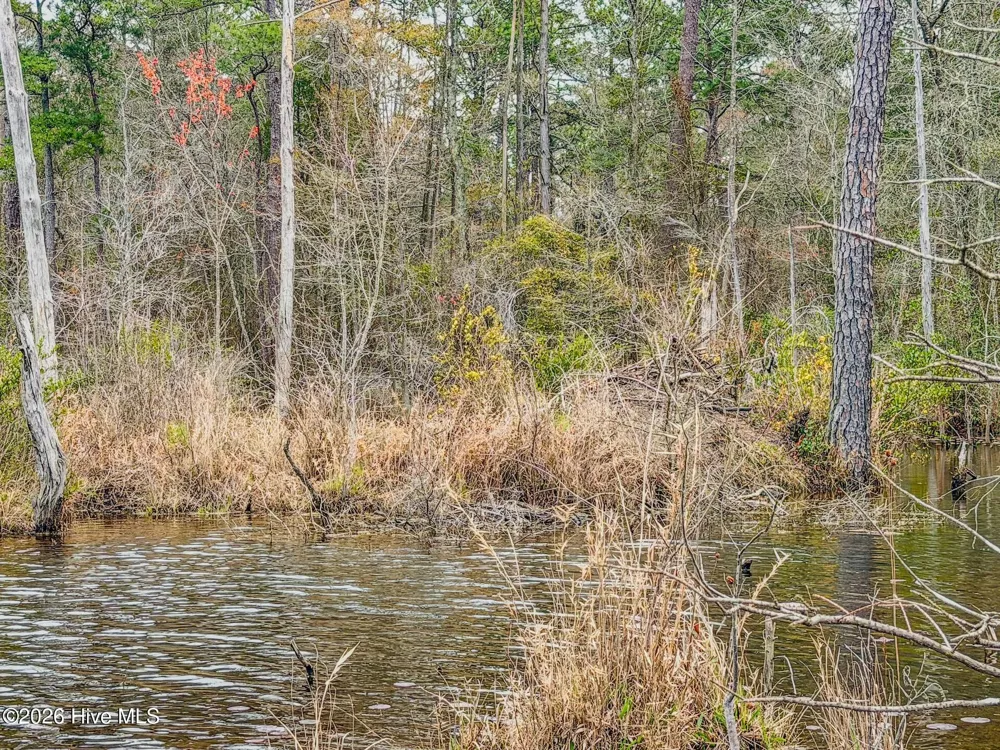 0 Lobelia Road Vass, NC 28394