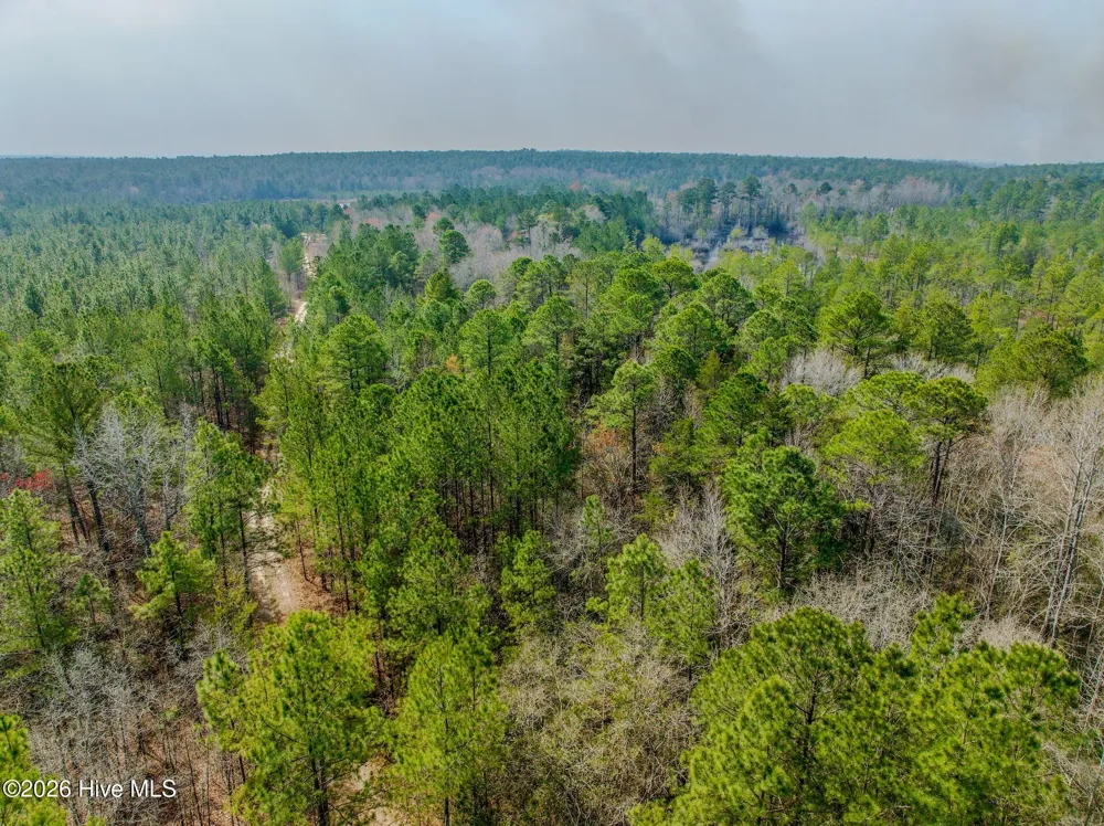 0 Lobelia Road Vass, NC 28394