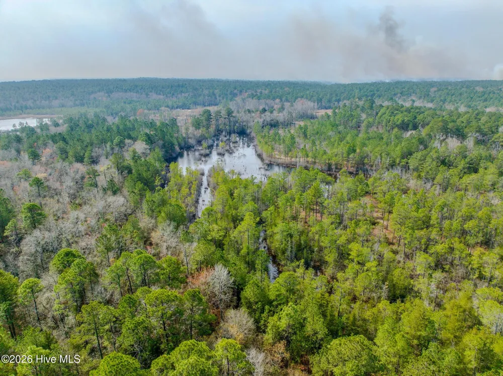 0 Lobelia Road Vass, NC 28394