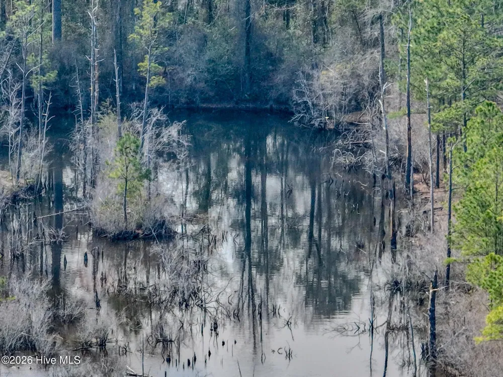 0 Lobelia Road Vass, NC 28394