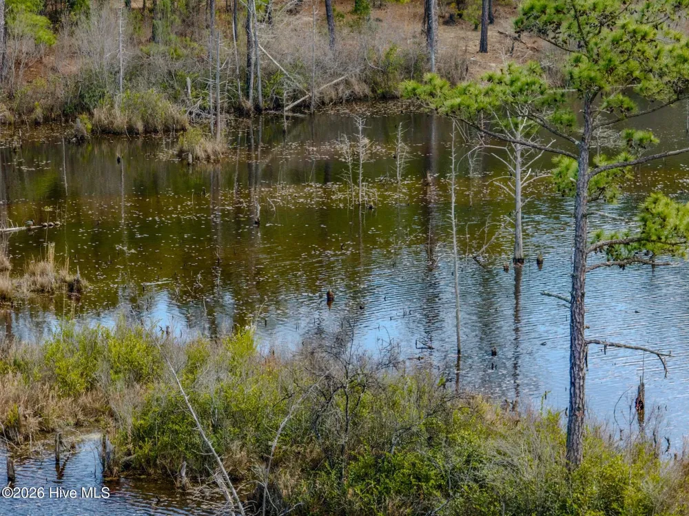 0 Lobelia Road Vass, NC 28394