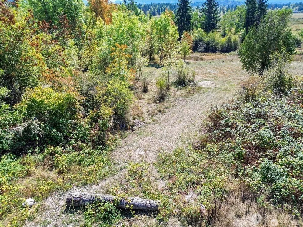 40325 Dean Kreger Road E Eatonville, WA 98328