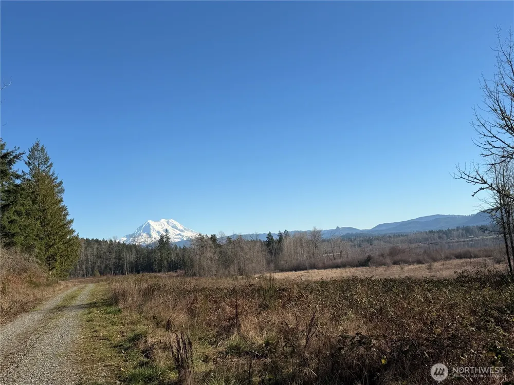 40325 Dean Kreger Road E Eatonville, WA 98328