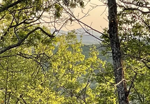 0 Little Eagle Mountain