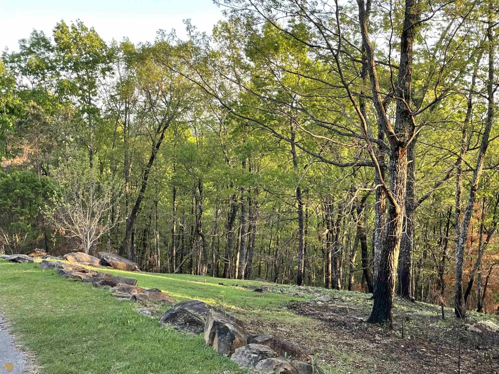 0 Little Eagle Mountain Clarkesville, GA 30523