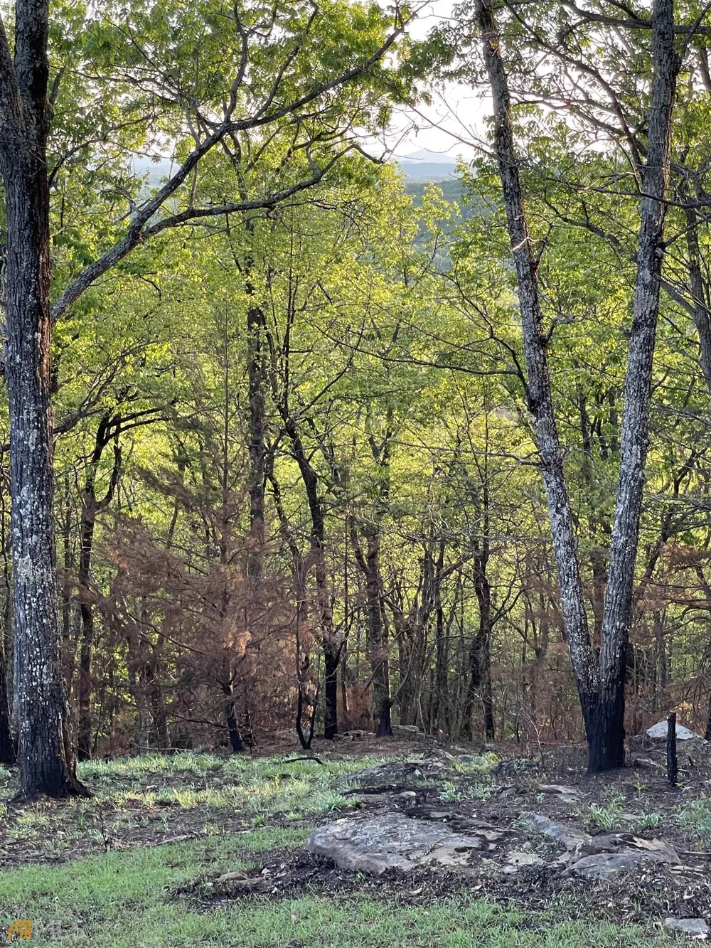 0 Little Eagle Mountain Clarkesville, GA 30523