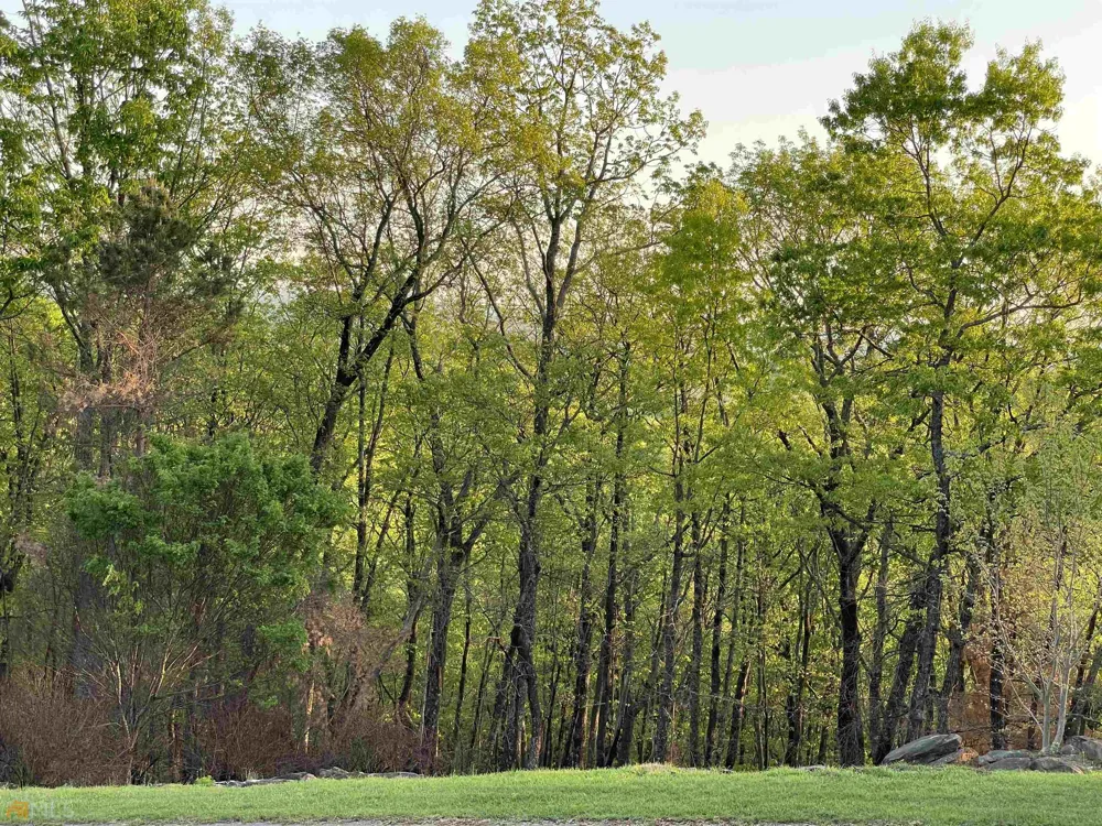 0 Little Eagle Mountain Clarkesville, GA 30523