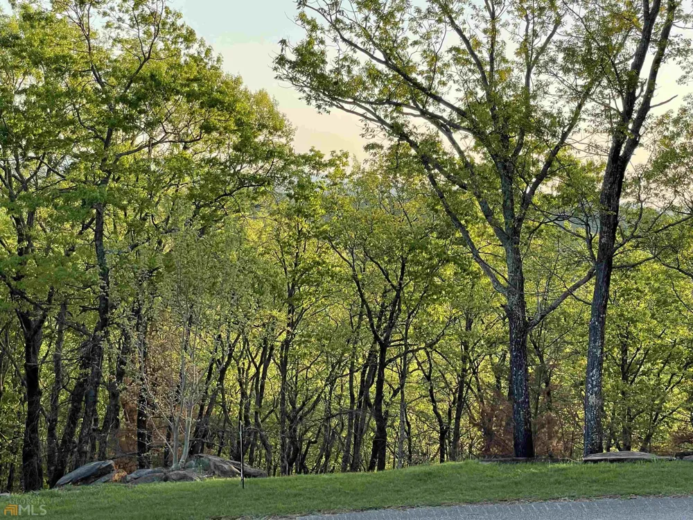 0 Little Eagle Mountain Clarkesville, GA 30523