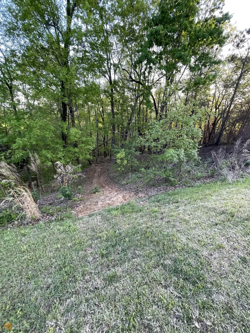 0 Little Eagle Mountain Clarkesville, GA 30523
