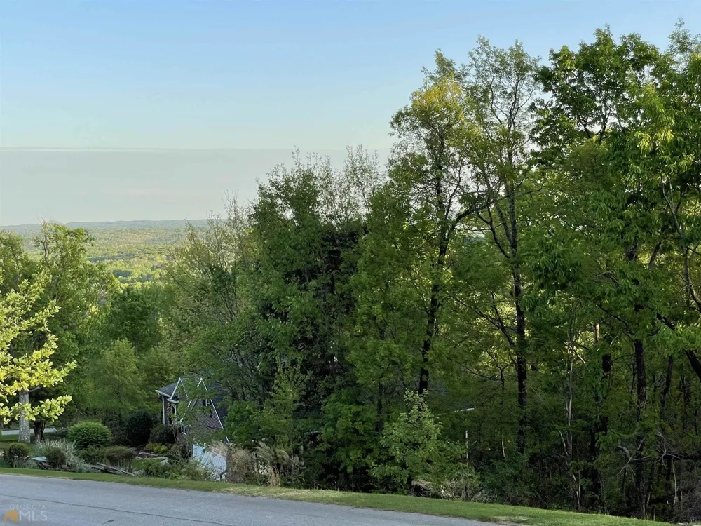 0 Little Eagle Mountain Clarkesville, GA 30523