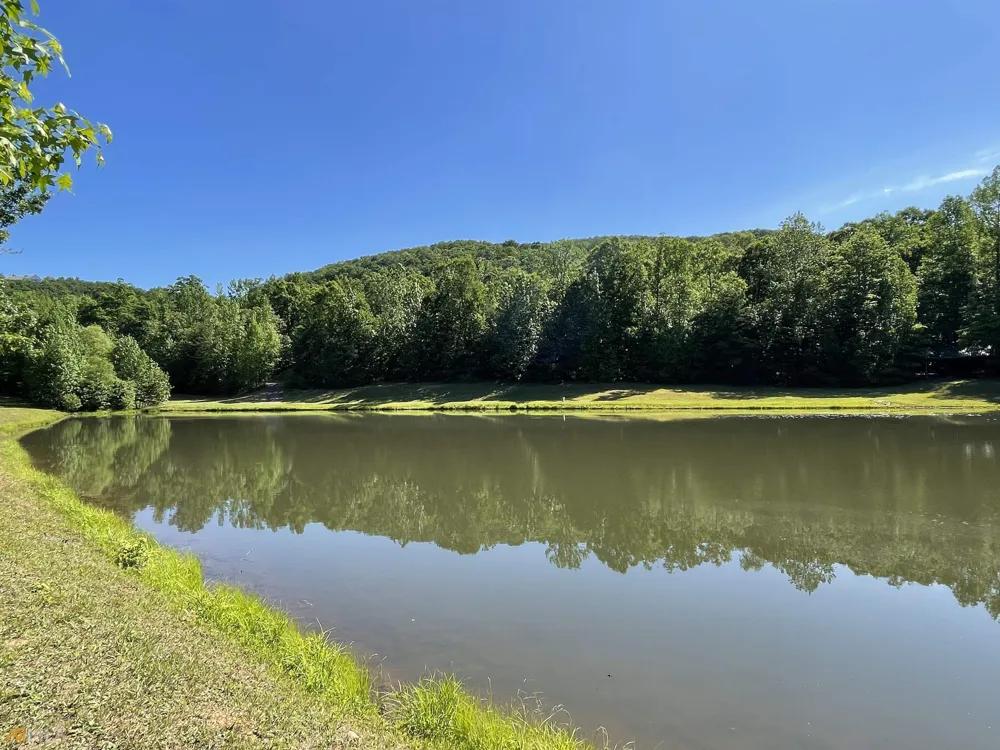 0 Little Eagle Mountain Clarkesville, GA 30523