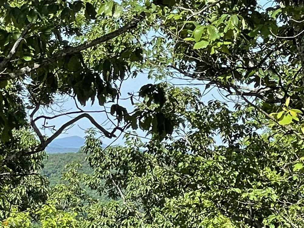 0 Little Eagle Mountain Clarkesville, GA 30523