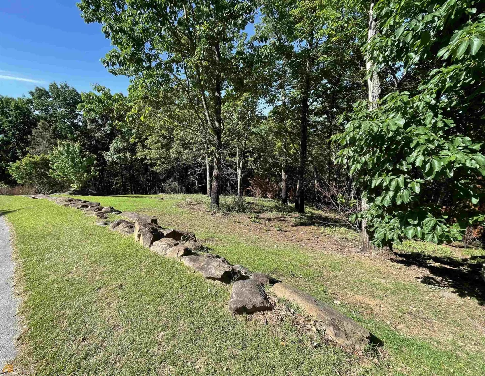 0 Little Eagle Mountain Clarkesville, GA 30523