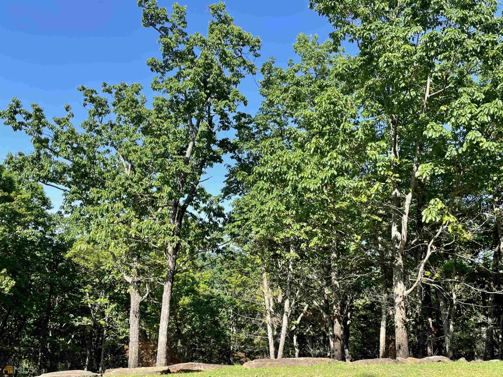 0 Little Eagle Mountain Clarkesville, GA 30523