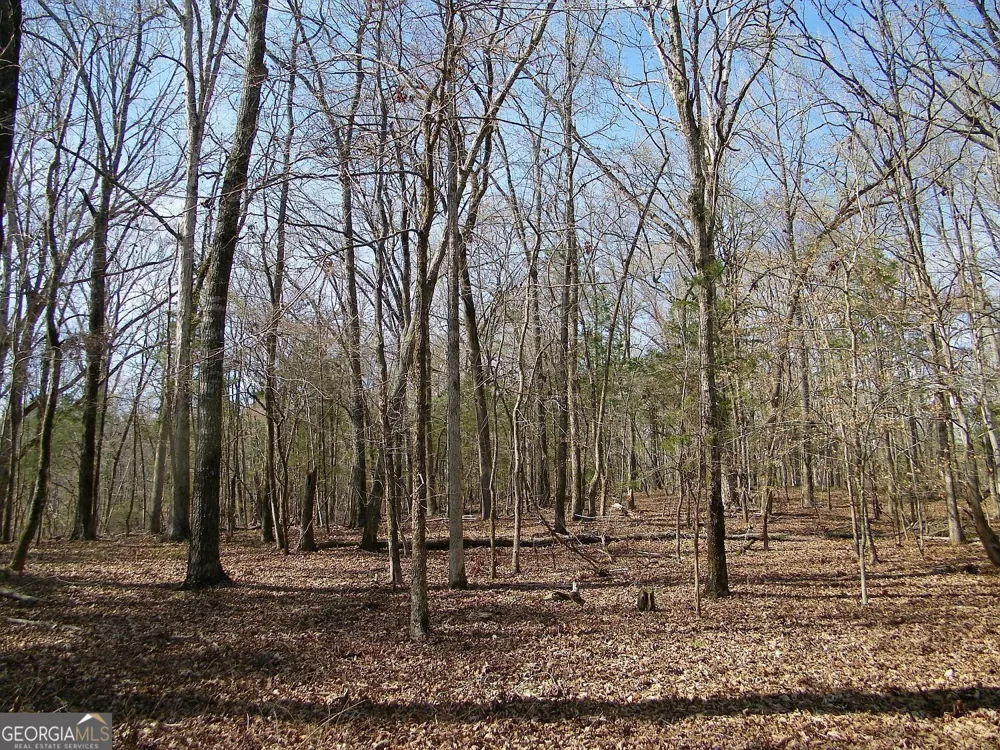 LOT 26 Benjamin Brown CT Elberton, GA 30635
