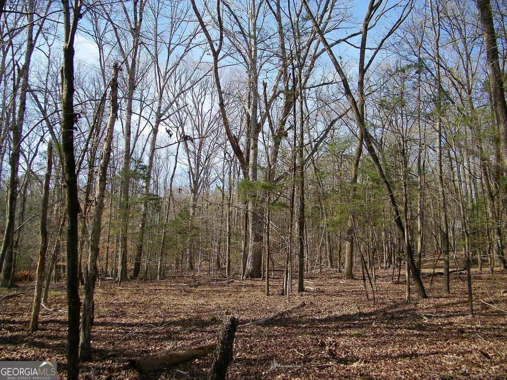 LOT 26 Benjamin Brown CT Elberton, GA 30635