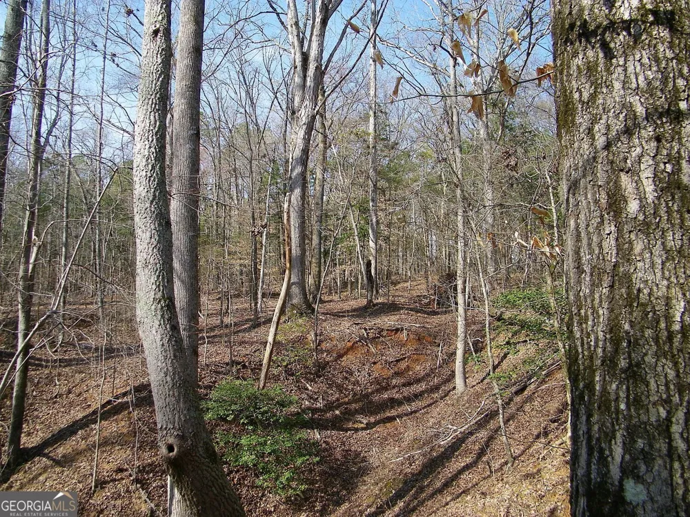 LOT 26 Benjamin Brown CT Elberton, GA 30635
