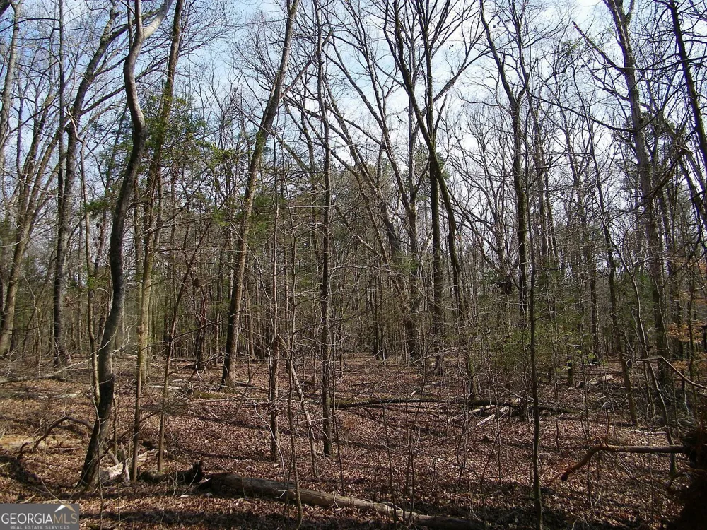 LOT 26 Benjamin Brown CT Elberton, GA 30635