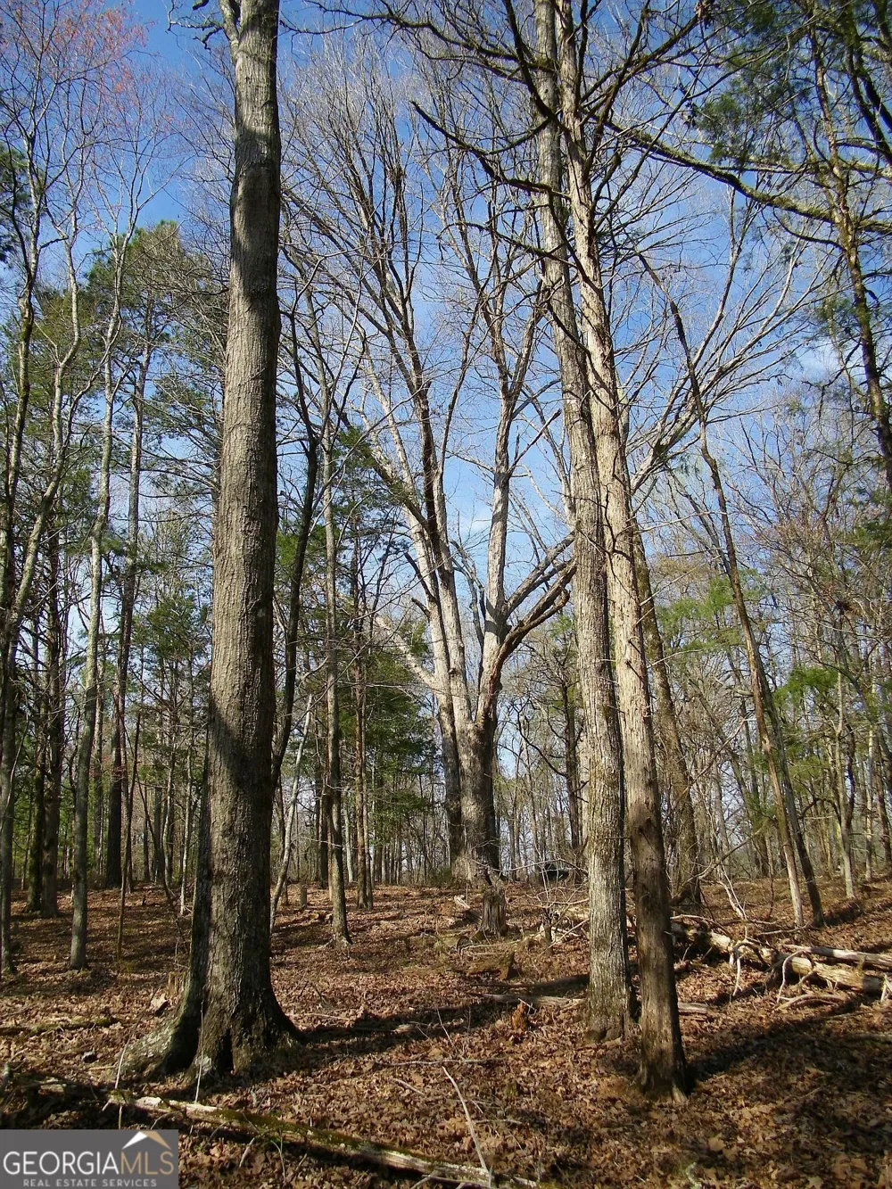 LOT 26 Benjamin Brown CT Elberton, GA 30635