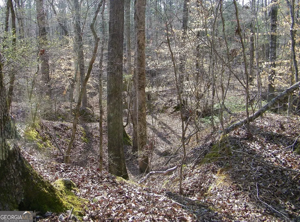 LOT 26 Benjamin Brown CT Elberton, GA 30635