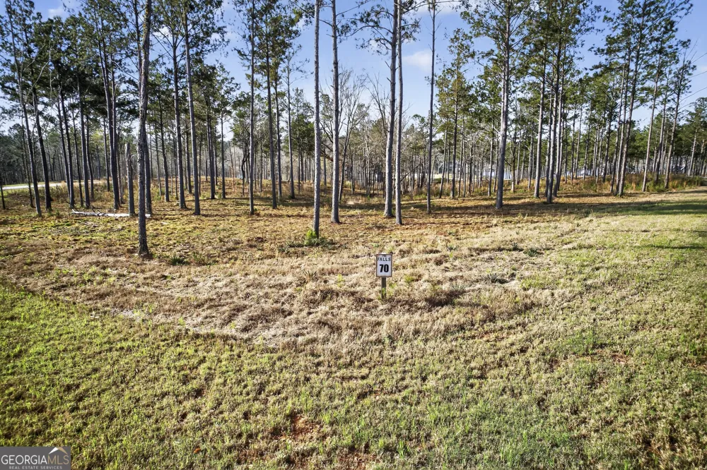 250 Chimney Rock TRL NE Milledgeville, GA 31061