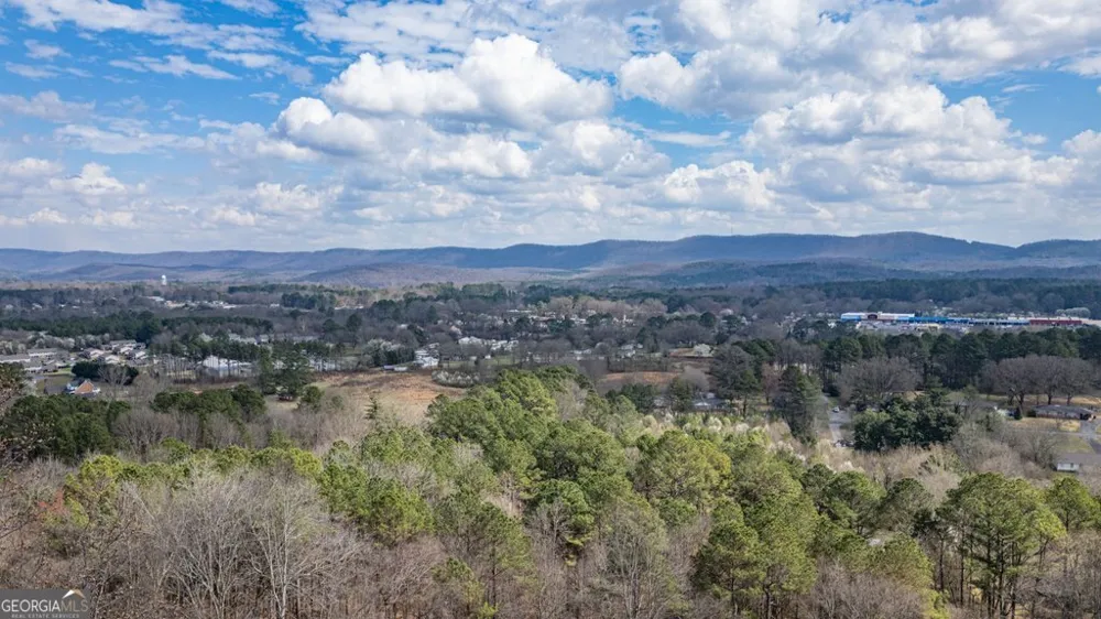 130 Apple Blossom LN Summerville, GA 30747
