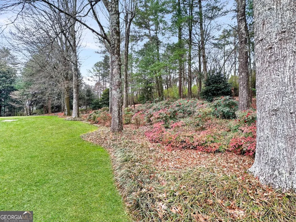 130 Apple Blossom LN Summerville, GA 30747