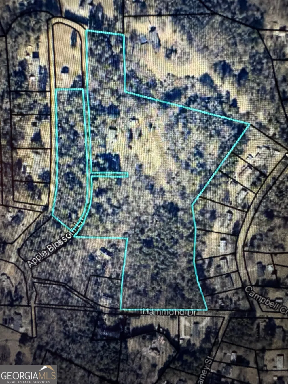 130 Apple Blossom LN Summerville, GA 30747