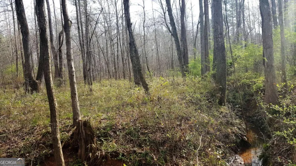 0 Stagecoach RD Stockbridge, GA 30281