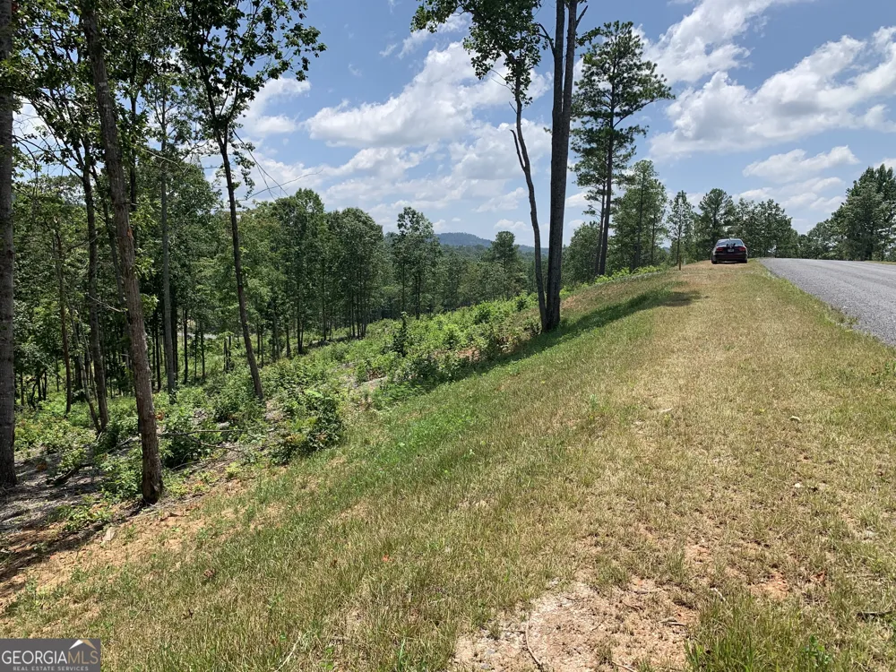 345 Twisted Oak RD Talking Rock, GA 30175