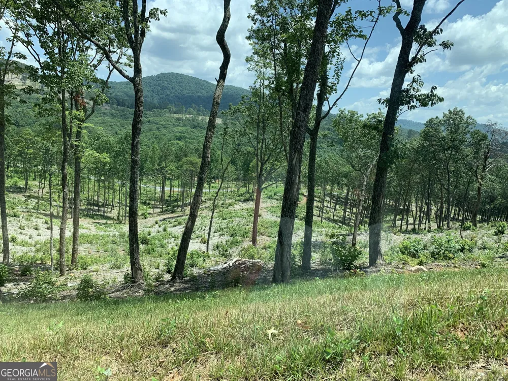 345 Twisted Oak RD Talking Rock, GA 30175