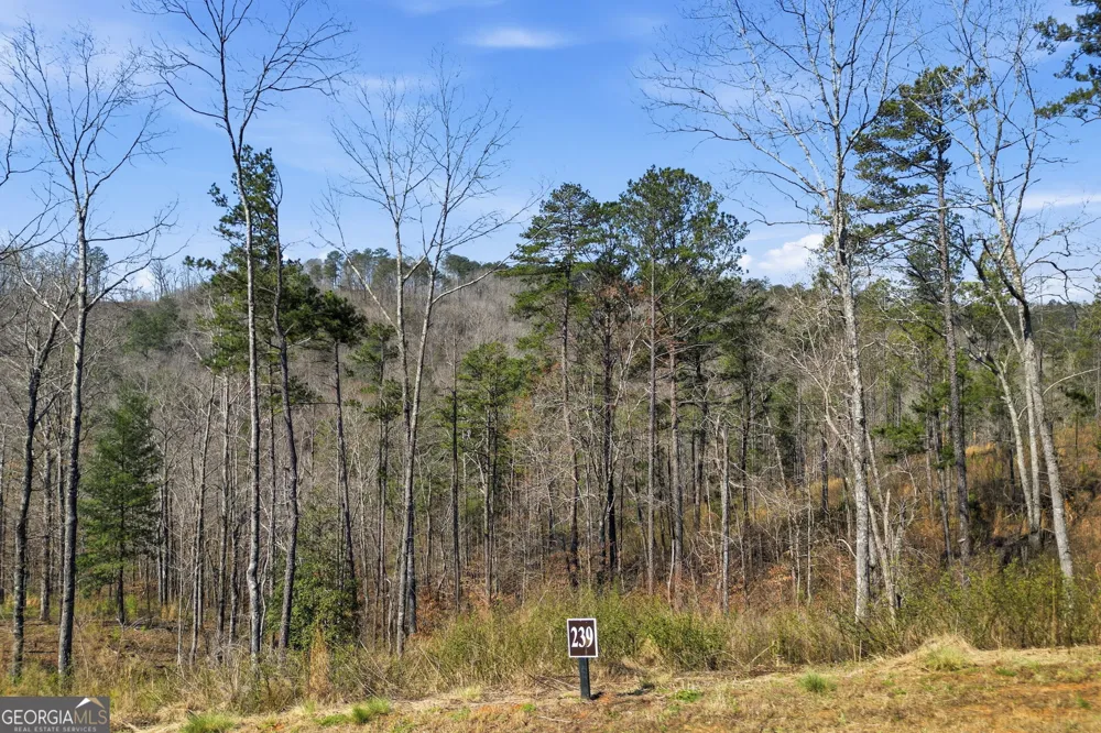 LOT 239 Spear Point DR Talking Rock, GA 30175