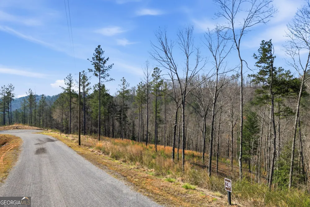 LOT 239 Spear Point DR Talking Rock, GA 30175