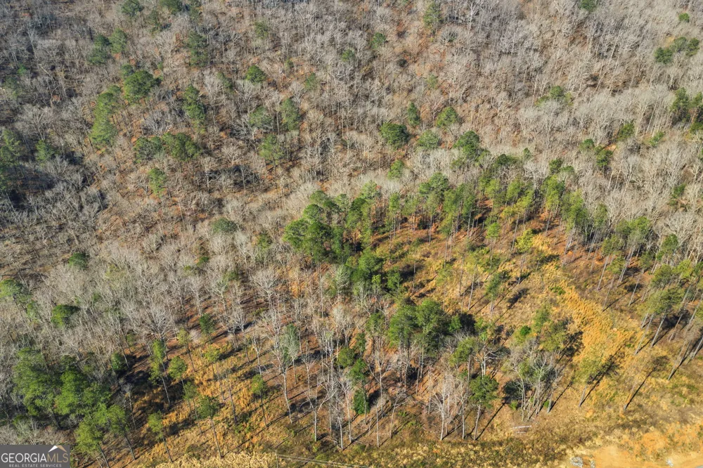 LOT 239 Spear Point DR Talking Rock, GA 30175