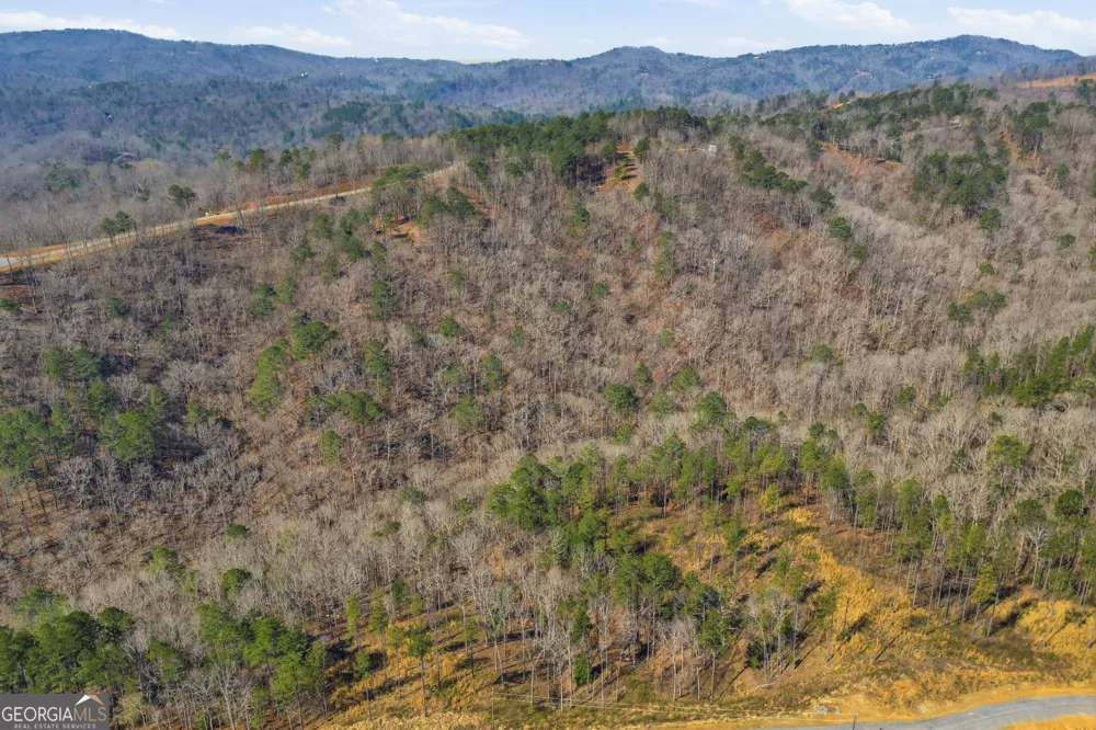 LOT 239 Spear Point DR Talking Rock, GA 30175