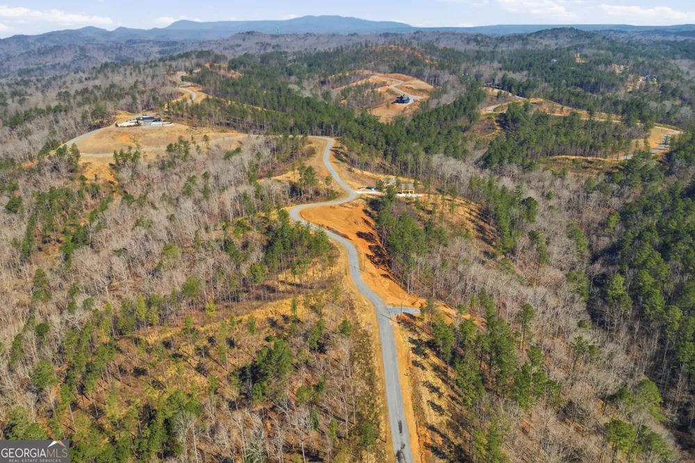 LOT 239 Spear Point DR Talking Rock, GA 30175