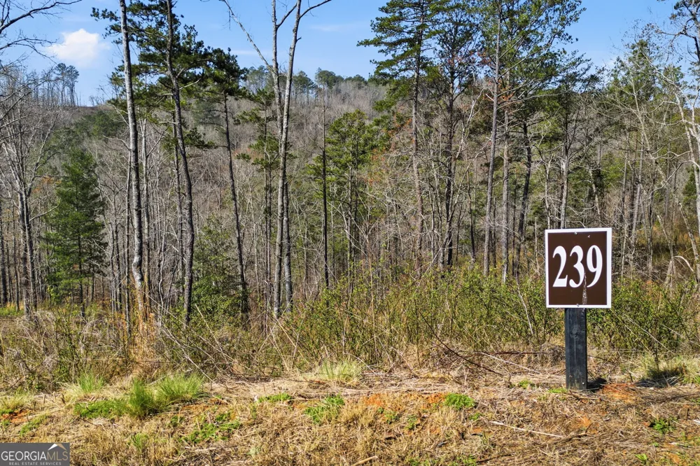 LOT 239 Spear Point DR Talking Rock, GA 30175