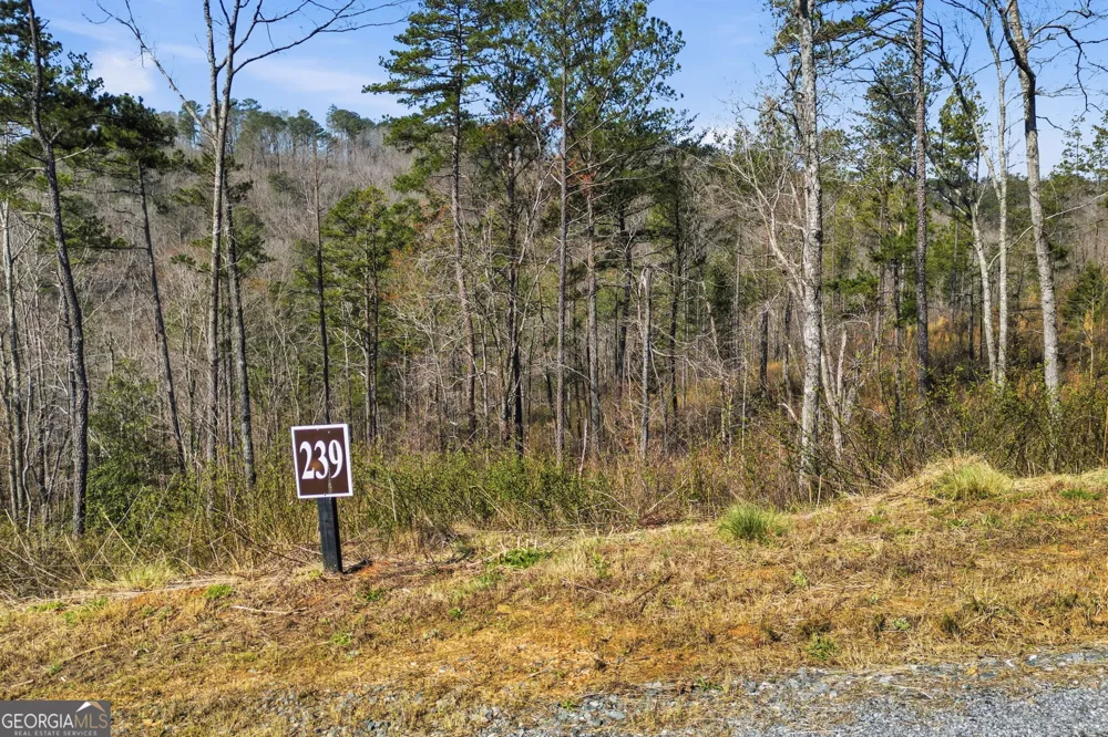 LOT 239 Spear Point DR Talking Rock, GA 30175