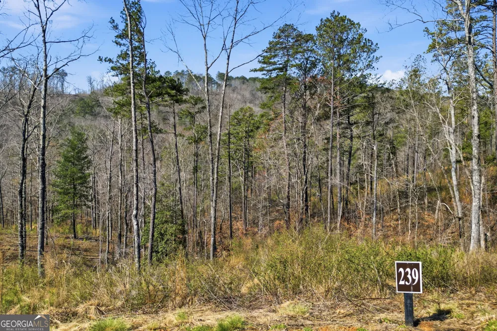 LOT 239 Spear Point DR Talking Rock, GA 30175
