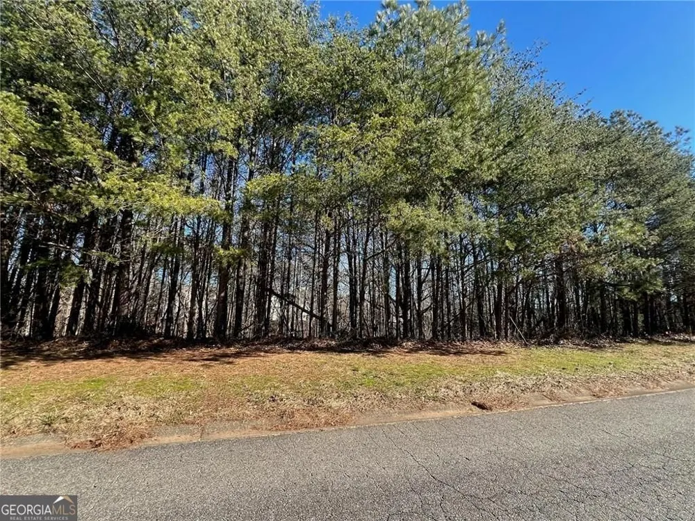 924 Whistler LN Canton, GA 30114