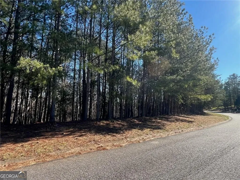 924 Whistler LN Canton, GA 30114