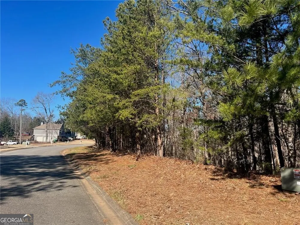 924 Whistler LN Canton, GA 30114