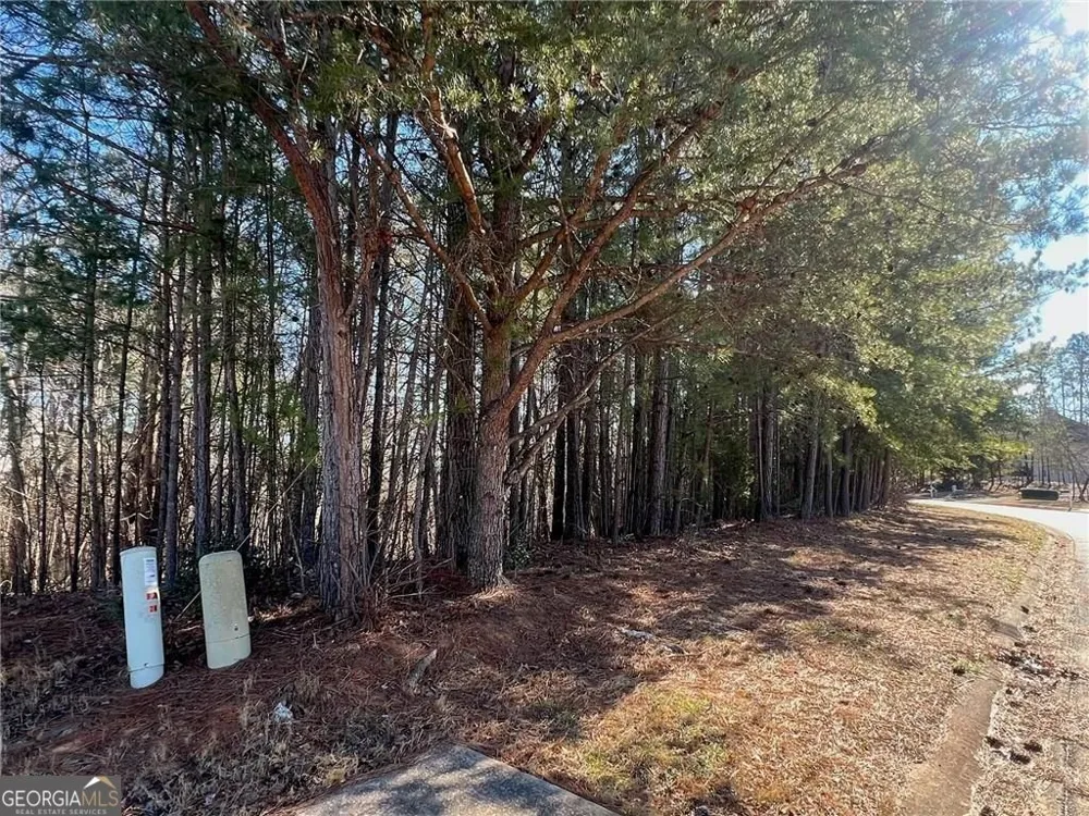 924 Whistler LN Canton, GA 30114